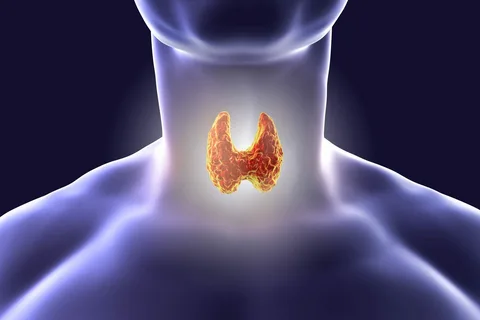 Пептиды для щитовидной железы