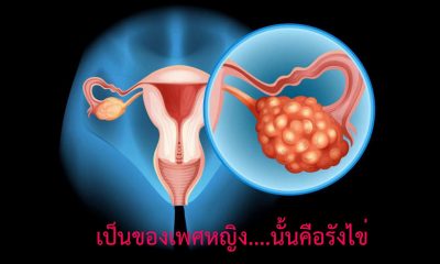 Бесплодие, кисты яичников, аднексит, нарушение менструального цикла