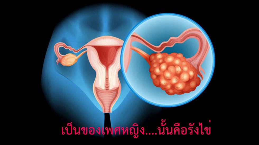 Бесплодие, кисты яичников, аднексит, нарушение менструального цикла